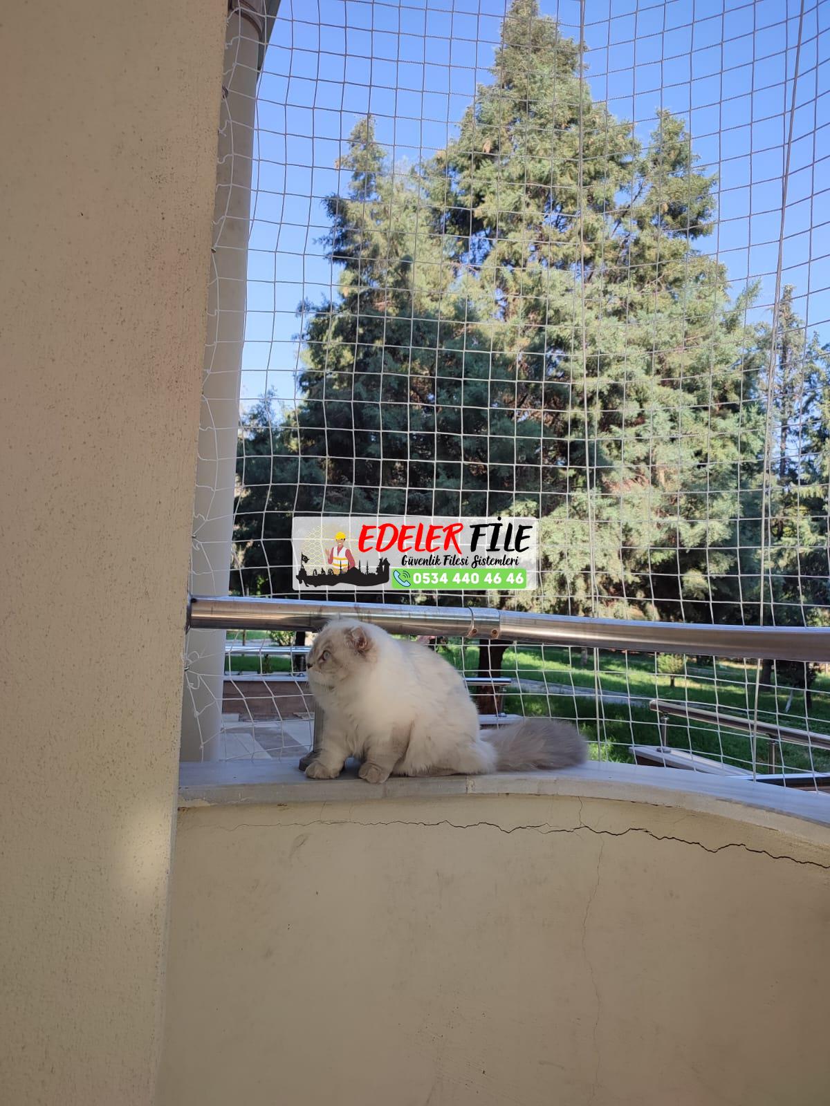 Antalya Kemer / Antalya Kedi Filesi, Kedi Güvenlik Filesi 0534 440 46 46 Antalya Kemer / Antalya Kedi Filesi, Kedi Güvenlik Filesi 0534 440 46 46