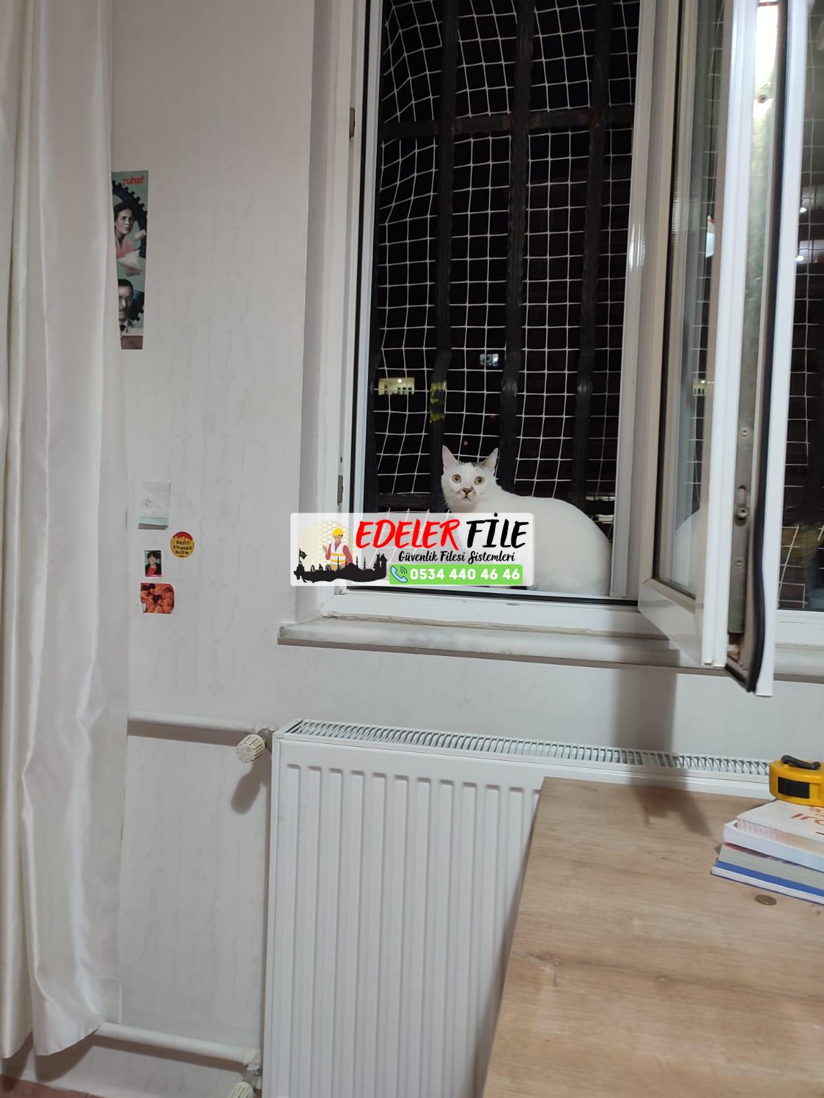 Antalya Kemer / Antalya Kedi Filesi, Kedi Güvenlik Filesi 0534 440 46 46 Antalya Kemer / Antalya Kedi Filesi, Kedi Güvenlik Filesi 0534 440 46 46