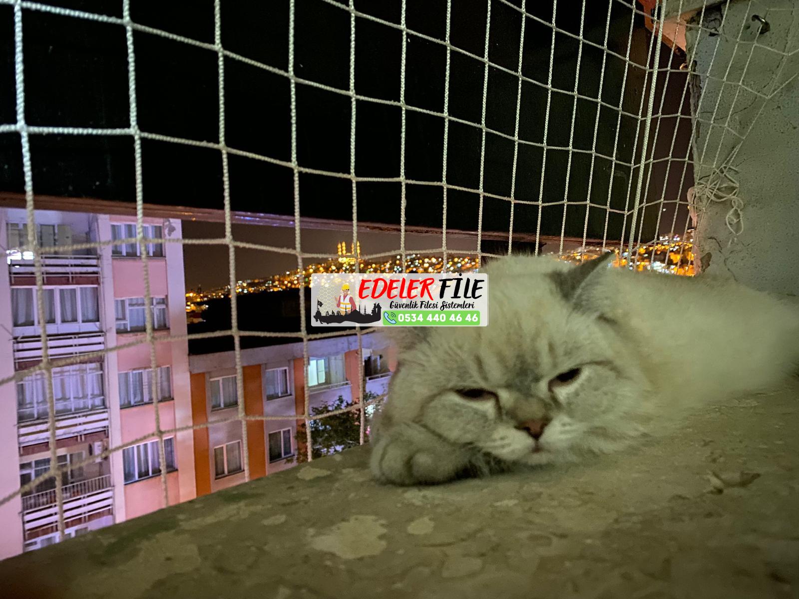 Antalya Kemer / Antalya Kedi Filesi, Kedi Güvenlik Filesi 0534 440 46 46 Antalya Kemer / Antalya Kedi Filesi, Kedi Güvenlik Filesi 0534 440 46 46