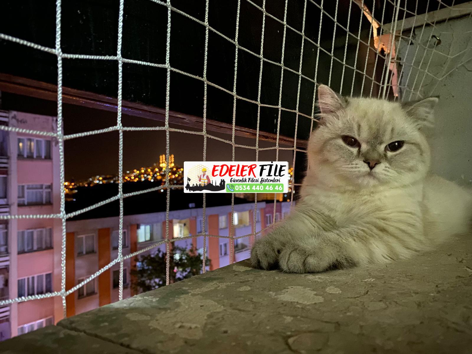 Kedi Filesi, Kedi Güvenlik Filesi