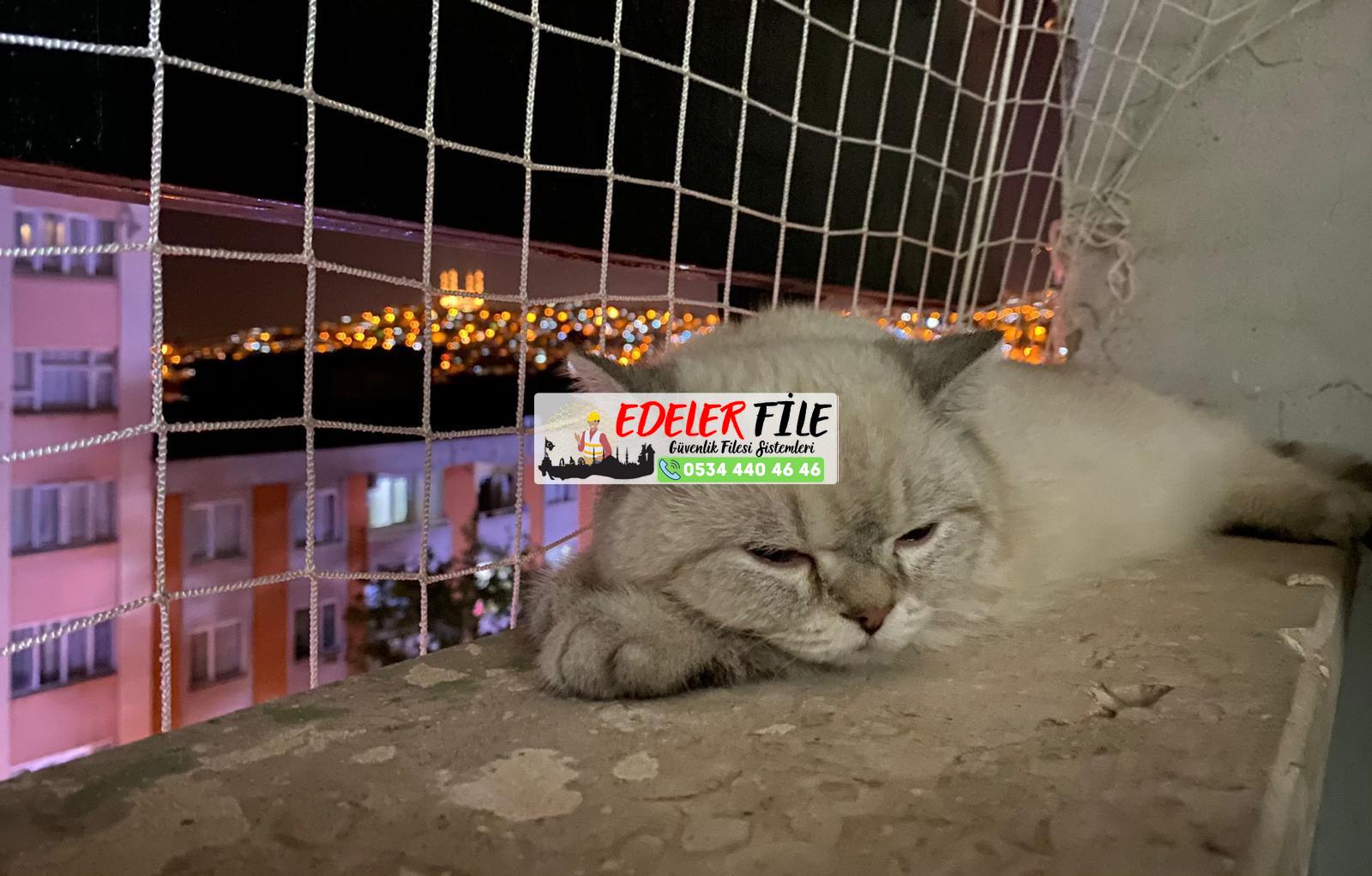 Evcil hayvan filesi Çocuk Filesi Kedi Filesi Balkon Filesi 0534 440 46 46 Evcil hayvan filesi Çocuk Filesi Kedi Filesi Balkon Filesi 0534 440 46 46