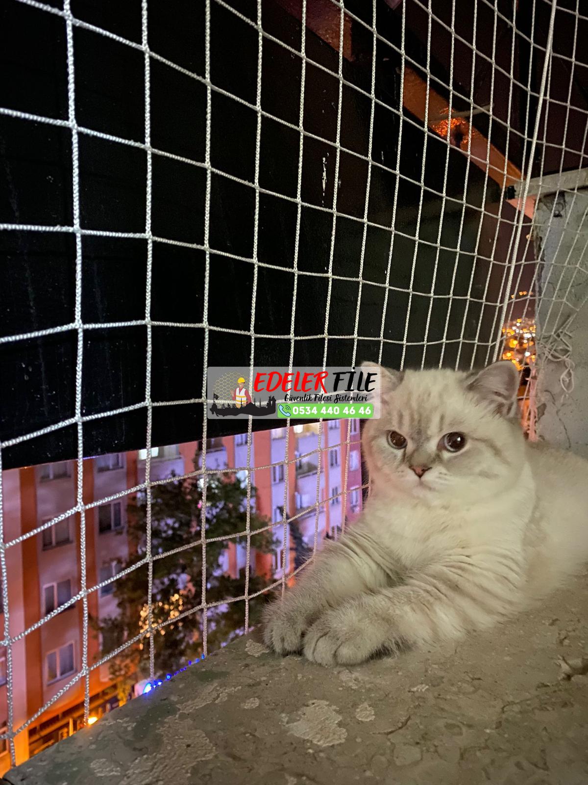 Evcil hayvan filesi Çocuk Filesi Kedi Filesi Balkon Filesi 0534 440 46 46 Evcil hayvan filesi Çocuk Filesi Kedi Filesi Balkon Filesi 0534 440 46 46